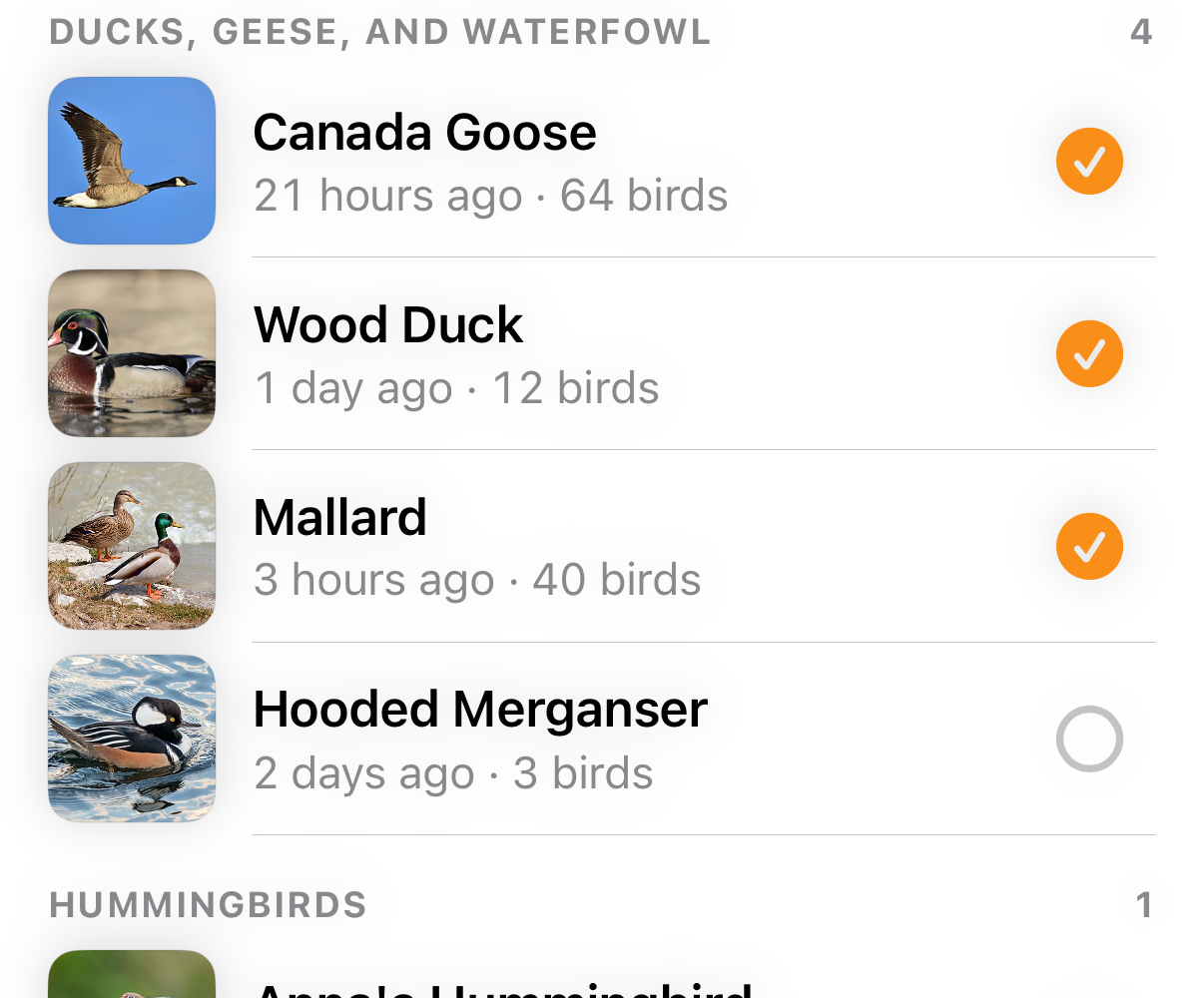 Family header and species rows