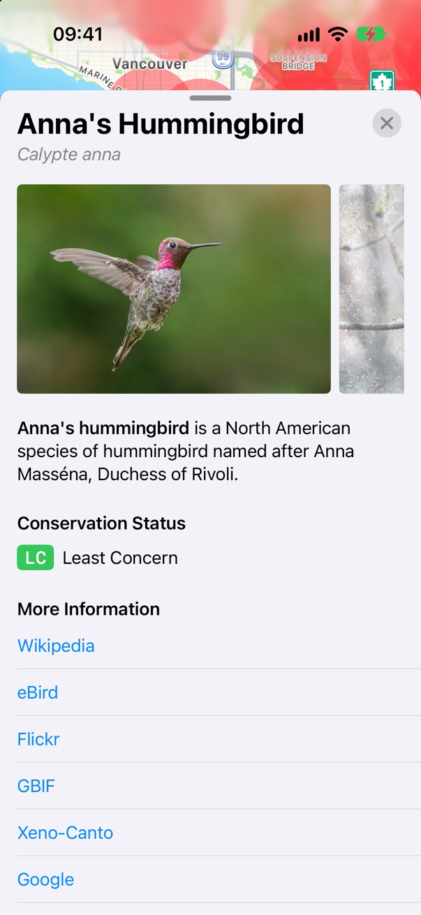 A species, full height