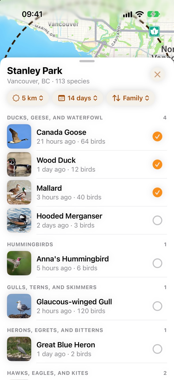 Birds sorted like a field guide