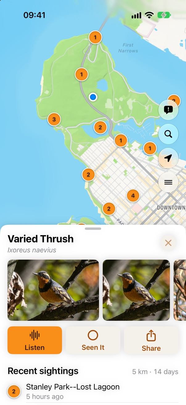 5. Tap another bird: it replaces this one, it doesn't stack